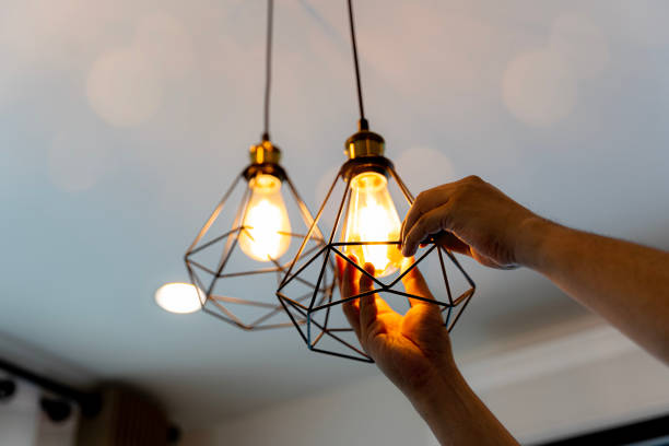 Best Local Electrician Companies  in Badger, AK
